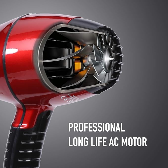 Ikonic Hair Dryer Pro 2200